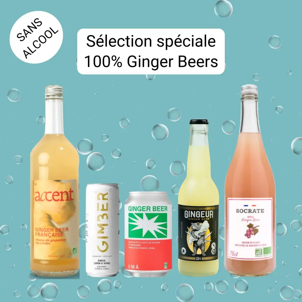 Sélection spéciale "100% Ginger Beers"