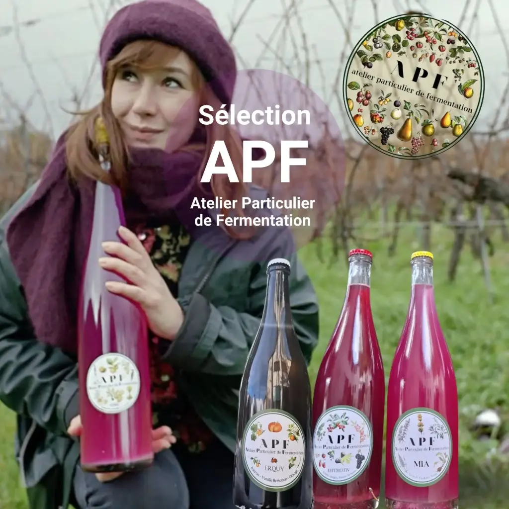 Sélection spéciale "Atelier Particulier de Fermentation (APF), par Elsa Steullet"