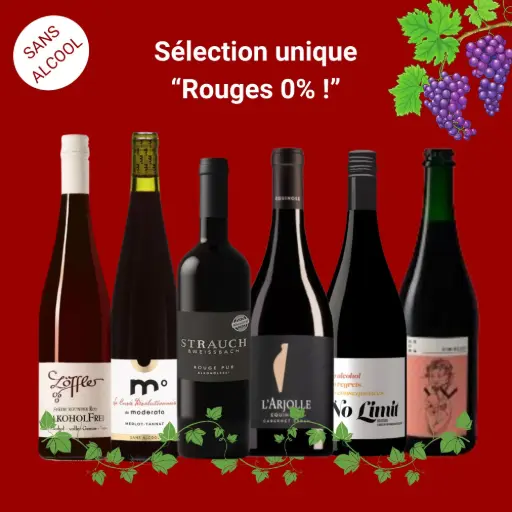 [Coffret_Rouges0] Sélection "vin sans alcool" : vins rouges désalcoolisés