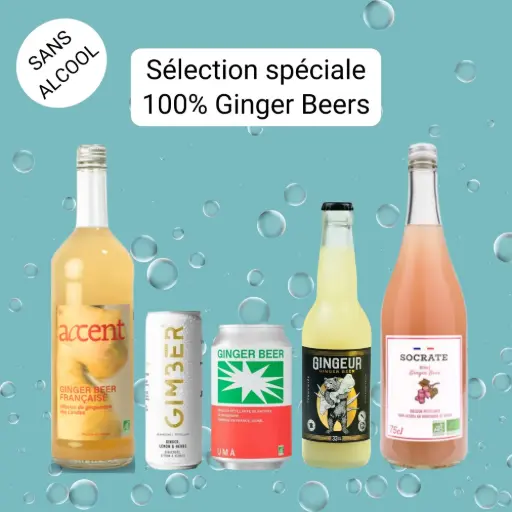 [Selection_GingerBeers] Sélection spéciale "100% Ginger Beers"